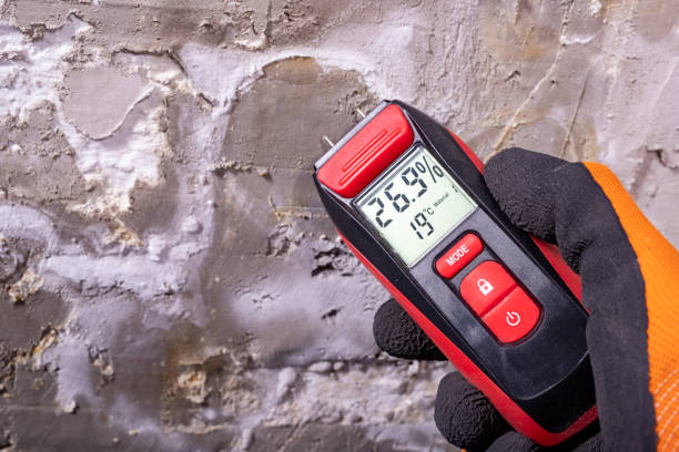 Best Post-Remediation Services in Rancho Viejo, TX