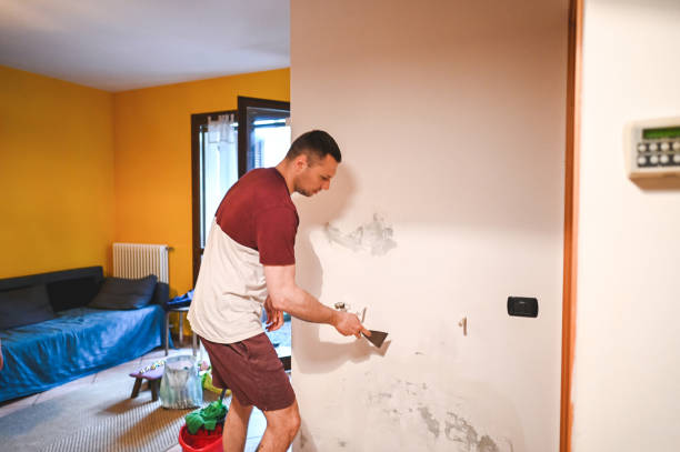 Best Bathroom Mold Remediation in Rancho Viejo, TX